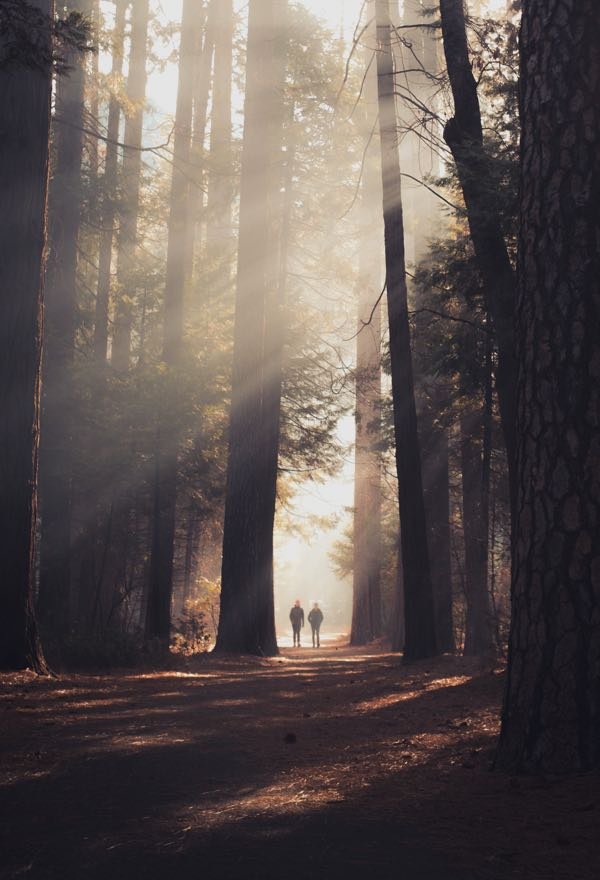 Casey Horner D4TooCIEyF4 Unsplash